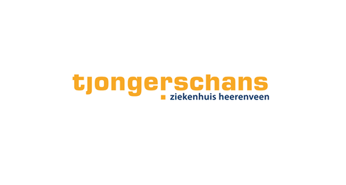 Logo Tjongerschans.png